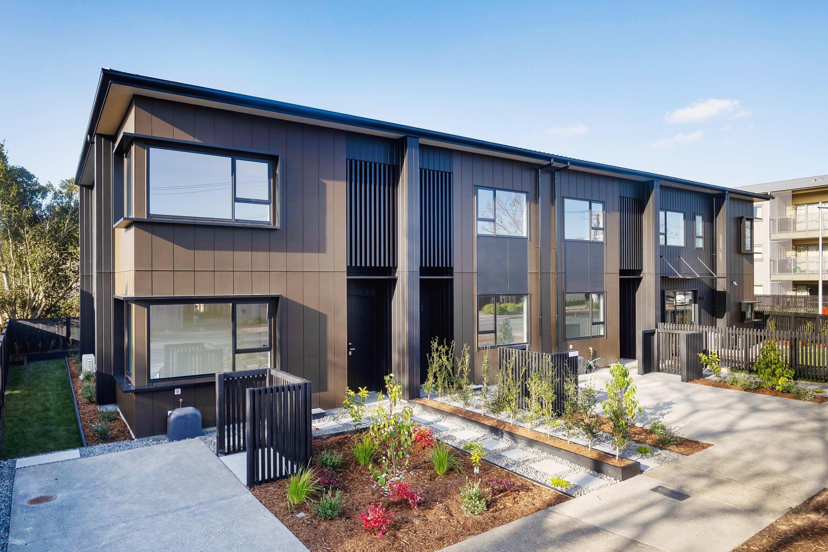 Auckland / Northland / Coromandel Competition