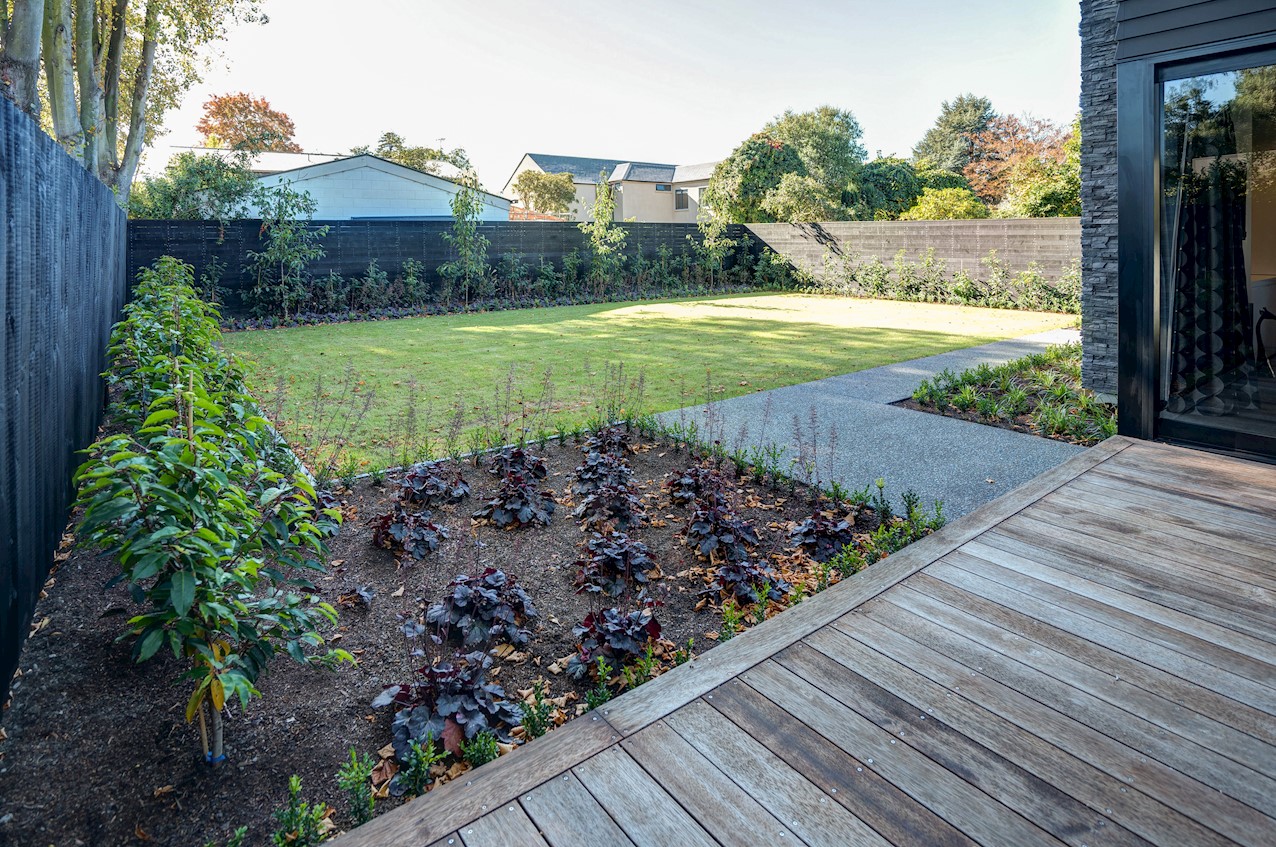 Striking contrast House Image 20