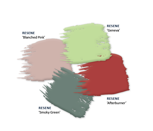 This and That 2015 Article Image  House Image 16